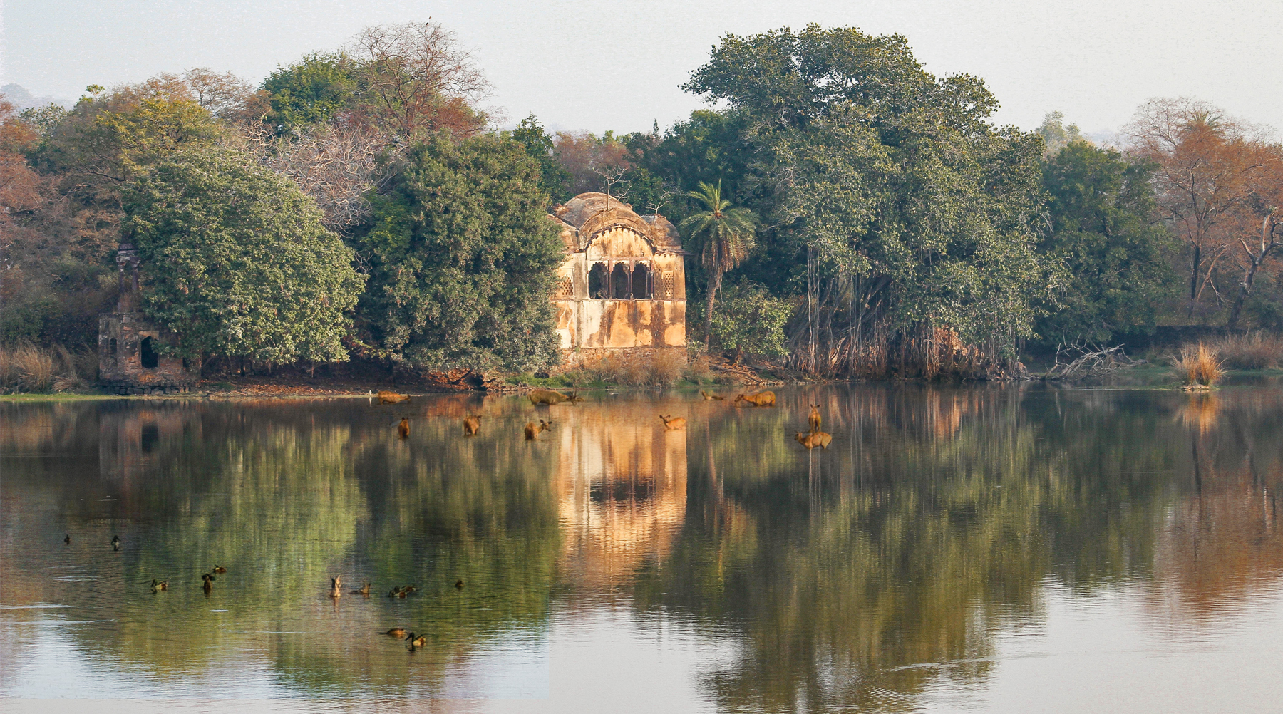 Ranthambore Raj Bagh Ruins